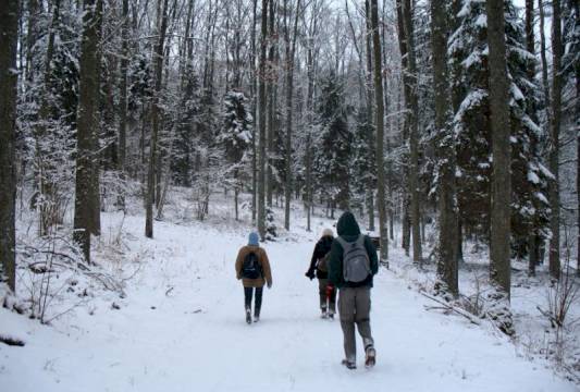 Zimowy spacer, foto Robert Wróbel