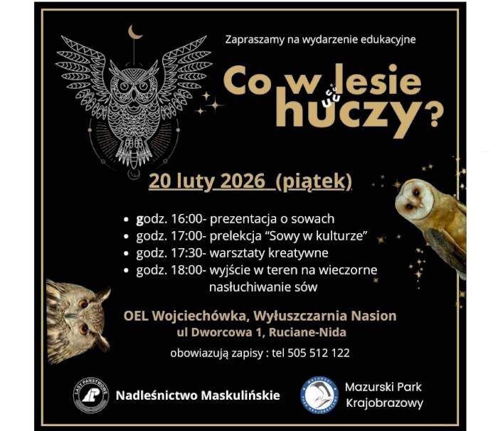 Co w lesie huczy? – edukacyjne spotkanie o sowach