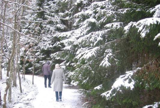 Zimowe spacery w Rezerwacie &quot;Zakręt&quot;, foto Beata Gida