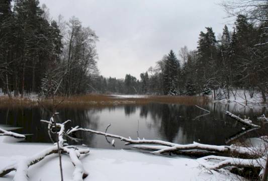 Rzeka Krutynia zimą, foto Robert Wróbel