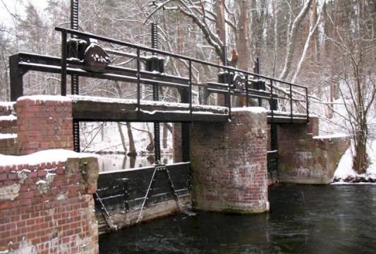 Tama na jeziorze Mokrym, foto Robert Wróbel