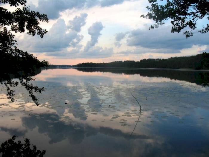 MAZURY CUD NATURY - głosowanie SMS