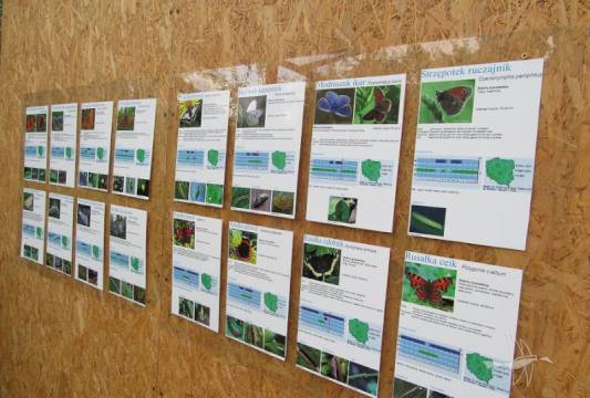 Ogrody Pokazowe i Motylarnia w Marcinkowie, fot. Beata Gida