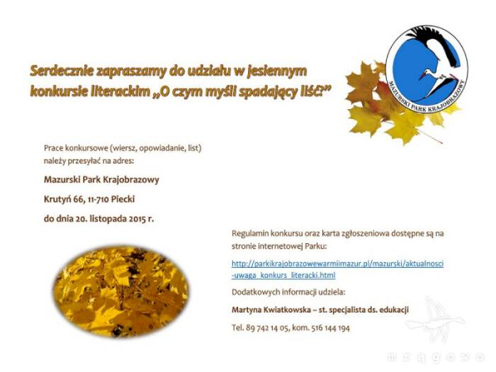 O czym myśli spadający liść?