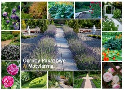 Ogrody z Pasją