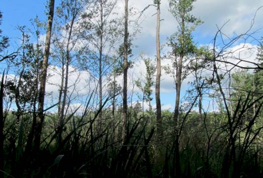 Szlak Pięciu Jezior, fot. Robert Wróbel, Beata Gida