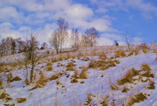 foto Marian Modzelewski