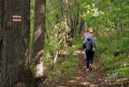 Szlak Pięciu Jezior, fot. Robert Wróbel