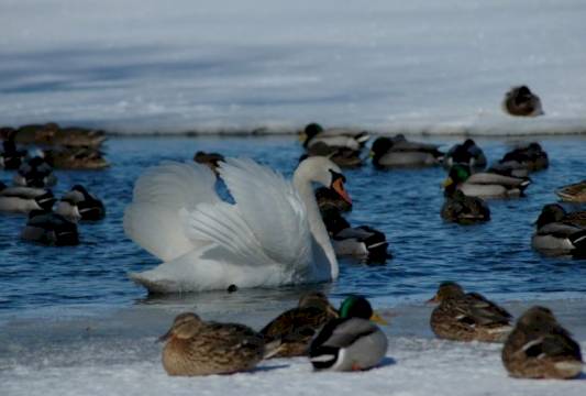 Jezioro Czos, archiwum MCIT