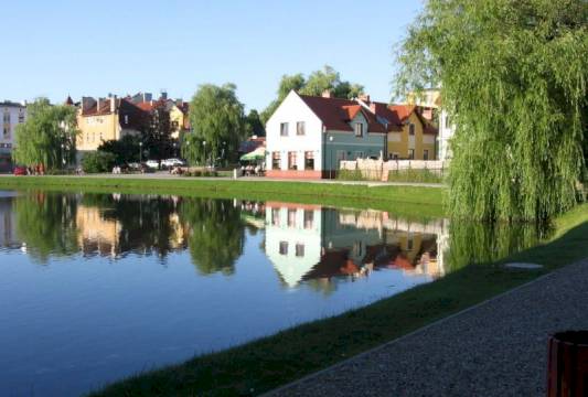 Jeziorko Magistrackie, foto Beata Gida