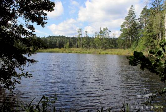 Szlak Pięciu Jezior, fot. Robert Wróbel, Beata Gida