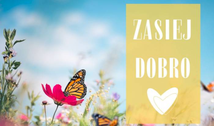 Zasiej dobro. Zostaw po sobie ślad, który zakwitnie w Gminie Piecki