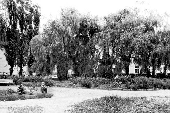 Andrzej Alicki - Moje wspomnienia z Mrągowa, cz. II