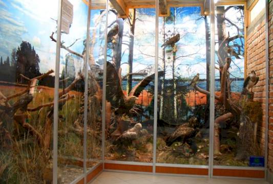 W Muzeum przyrodniczym w Krutyni, foto Robert Wróbel