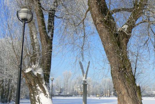 Teren nad jeziorkiem Magistrackim, foto Beata Gida