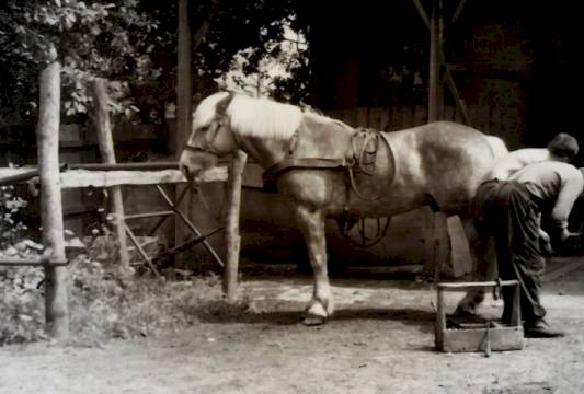 Stara Kużnia przy ul. Sołtyskiej, dost. Marian Modzelewski