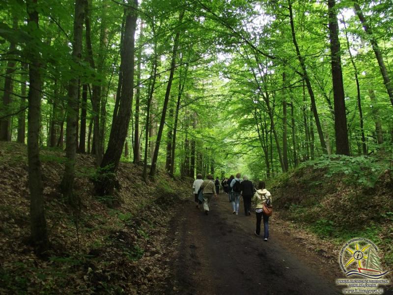 Puszcza Piska - Informacja Turystyczna w Mrągowie