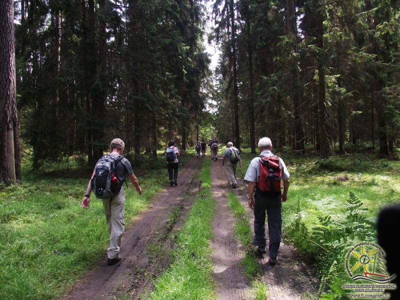 Puszcza Piska - Informacja Turystyczna w Mrągowie