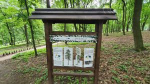 Park Sikorskiego w Mrągowie