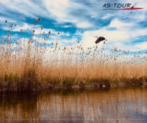 Kajaki As-Tour