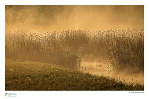 Wystawa fotografii "Nasz dom"
