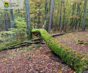 Rezerwat Przyrody Zakręt, fot. Beata Gida