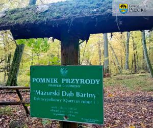 Rezerwat Przyrody Zakręt, fot. Beata Gida