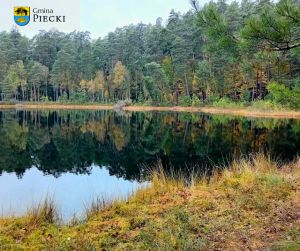 Rezerwat Przyrody Zakręt, fot. Beata Gida