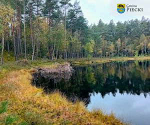 Rezerwat Przyrody Zakręt, fot. Beata Gida