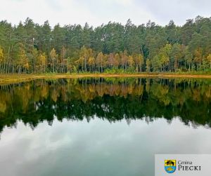 Rezerwat Przyrody Zakręt, fot. Beata Gida