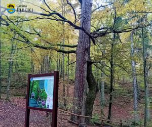 Rezerwat Przyrody Zakręt, fot. Beata Gida
