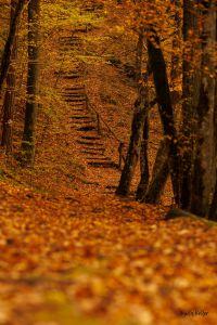 Jesień nad Krutynią, fot. Anida Keller